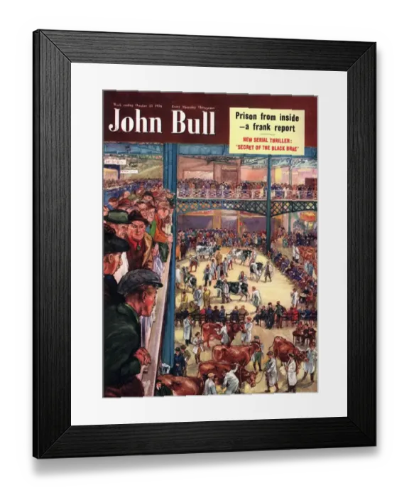 Framed Print : John Bull 1950 1950s UK dogs crufts dog shows magazines Framed Print : John Bull 1950 1950s UK dogs crufts dog shows magazines