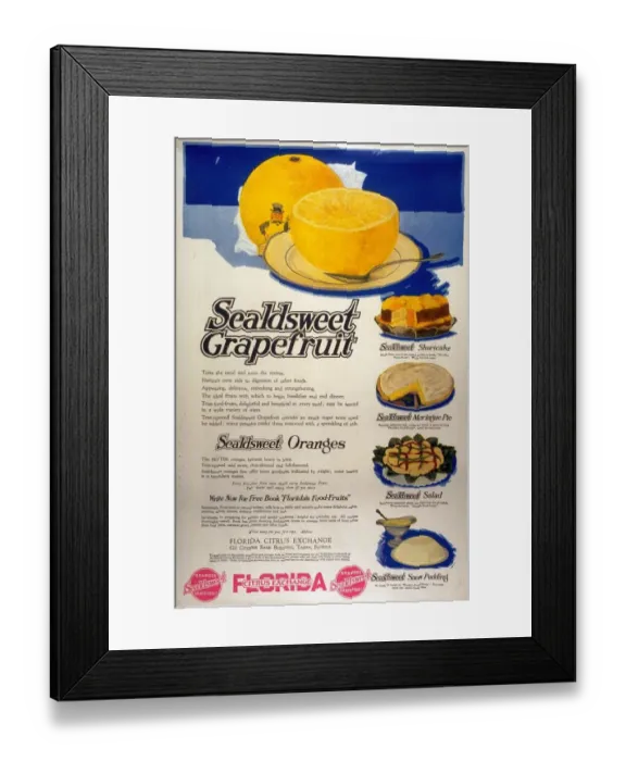 Framed Print : 1910s USA grapefruit florida fruit