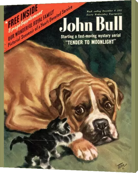 John Bull 1951 1950s UK dogs cats kittens pets magazines