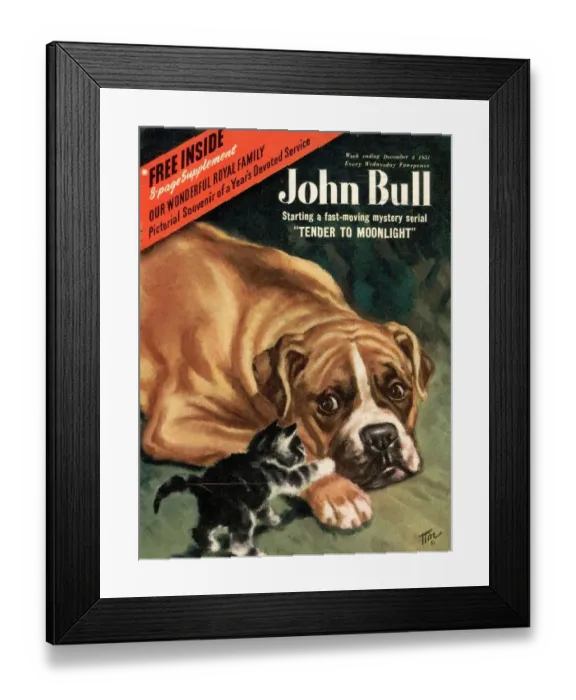 Framed Print : John Bull 1951 1950s UK dogs cats kittens pets magazines Framed Print : John Bull 1951 1950s UK dogs cats kittens pets magazines