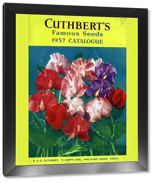 Cuthberts 1957 1950s UK flowers seeds Mr Cuthberts packets gardens