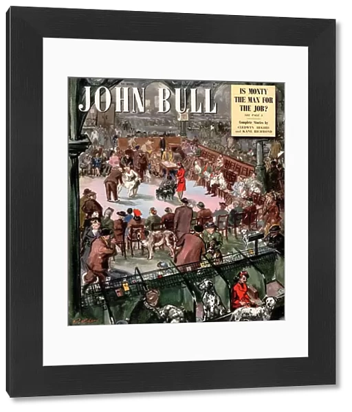 John Bull 1948 1940s UK dogs john bull crufts shows magazines