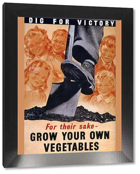 Ministry of Agriculture 1940s UK spades digging dig for victory WW2 grow your own