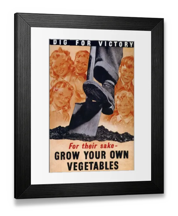 Framed Print : Ministry of Agriculture 1940s UK spades digging dig for victory WW2 grow your own Framed Print : Ministry of Agriculture 1940s UK spades digging dig for victory WW2 grow your own