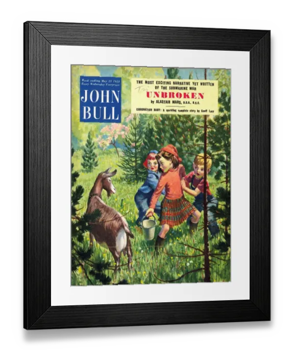 Framed Print : John Bull 1950s UK goats milking magazines Framed Print : John Bull 1950s UK goats milking magazines