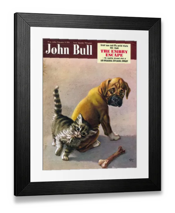 Framed Print : John Bull 1950s UK cats dogs bones magazines pets Framed Print : John Bull 1950s UK cats dogs bones magazines pets