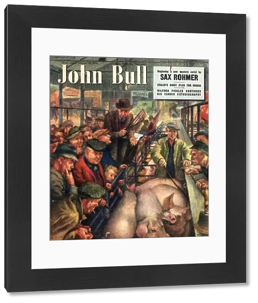 John Bull 1949 1940s UK pigs auctions farms farmers magazines
