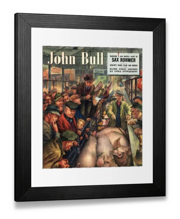 Framed Print : John Bull 1949 1940s UK pigs auctions farms farmers magazines