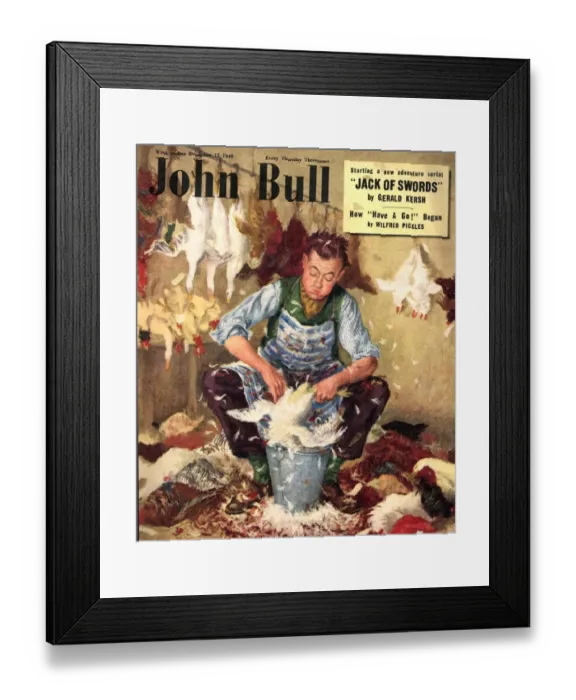 Framed Print : John Bull 1949 1940s UK farms farmers plucking chickens magazines Framed Print : John Bull 1949 1940s UK farms farmers plucking chickens magazines