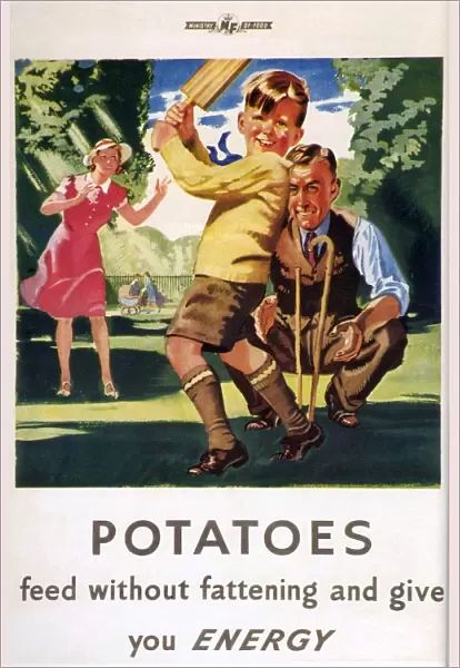 Ministry of Food 1940s UK potatoes cricket families