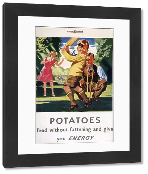 Ministry of Food 1940s UK potatoes cricket families