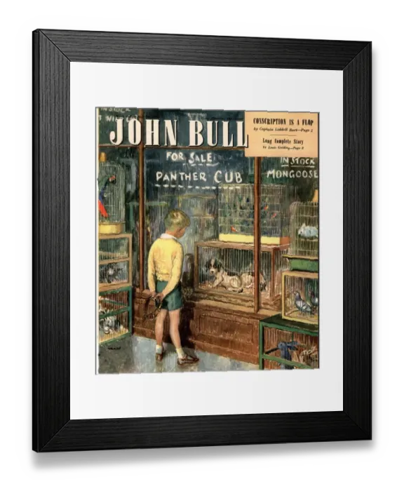Framed Print : John Bull 1948 1940s UK dogs pet shops pets magazines