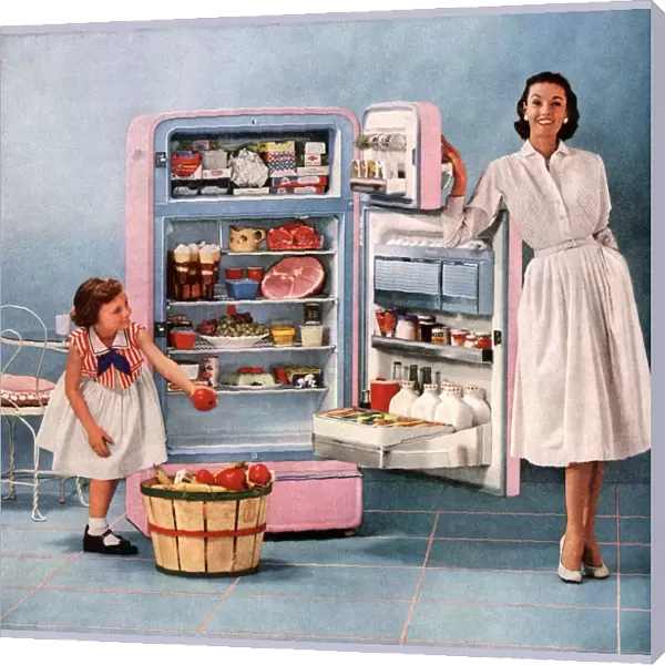 1950s USA fridges housewives housewife mothers and daughters appliances refridgerators
