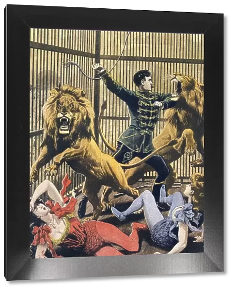 In The Lions Cage 1910s UK lion tamers lions dangerous disasters cages