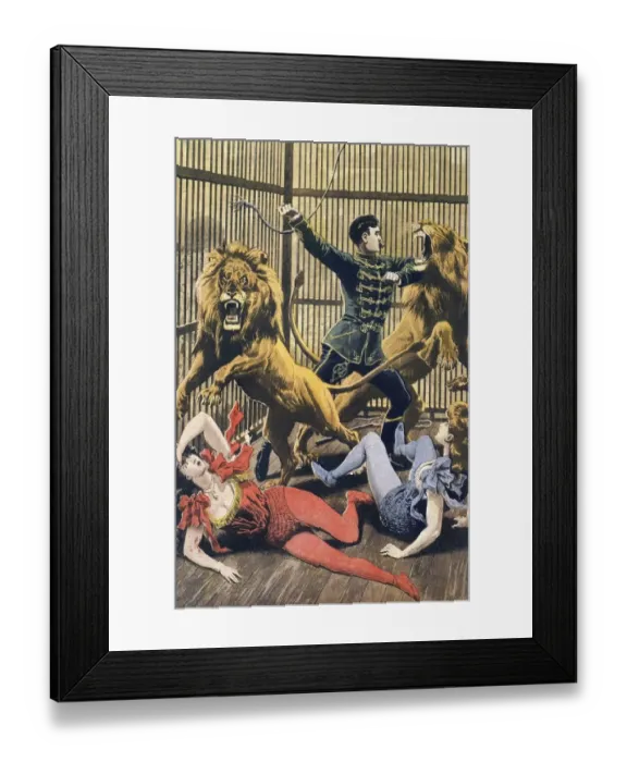 Framed Print : In The Lions Cage 1910s UK lion tamers lions dangerous disasters cages Framed Print : In The Lions Cage 1910s UK lion tamers lions dangerous disasters cages