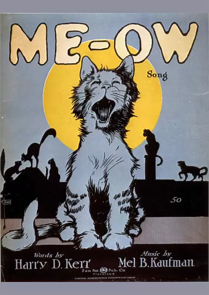 1920s USA cats me-ow meow