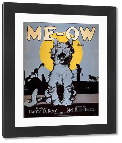 1920s USA cats me-ow meow