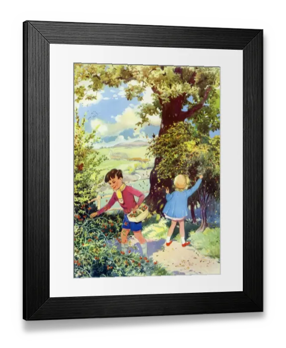 Framed Print : Infant School Illustrations 1950s UK picking berries fruit Enid Blyton gardens Framed Print : Infant School Illustrations 1950s UK picking berries fruit Enid Blyton gardens