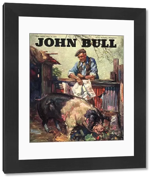 John Bull 1946 1940s UK pigs farms farmers magazines