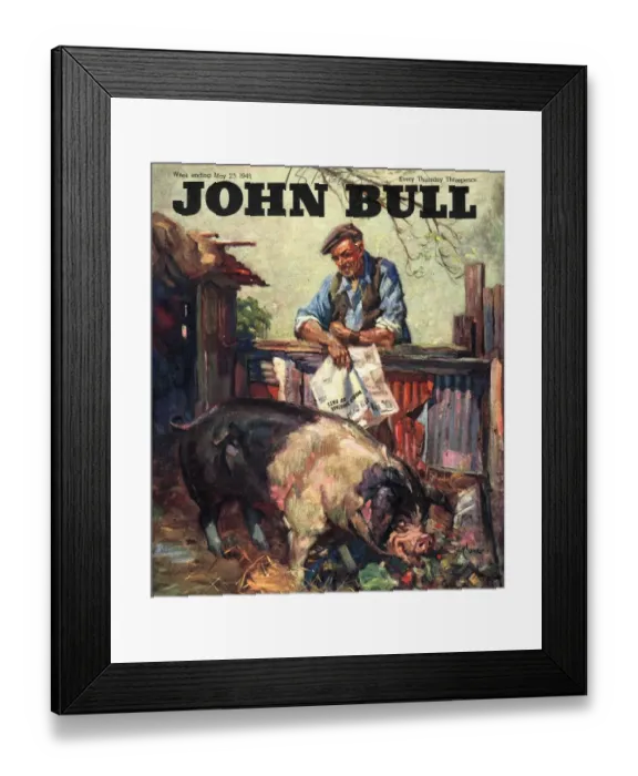 Framed Print : John Bull 1946 1940s UK pigs farms farmers magazines