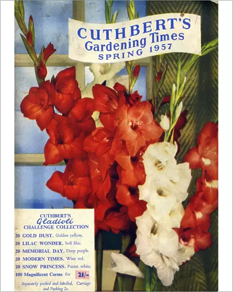 Cuthberts Gardening Times 1957 1950s UK Mr Cuthberts flowers seeds packets gardens