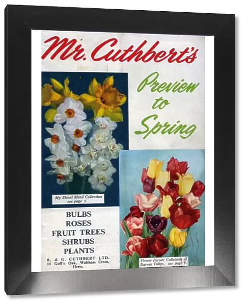 Cuthberts 1950s UK Mr Cuthberts flowers seeds packets gardens