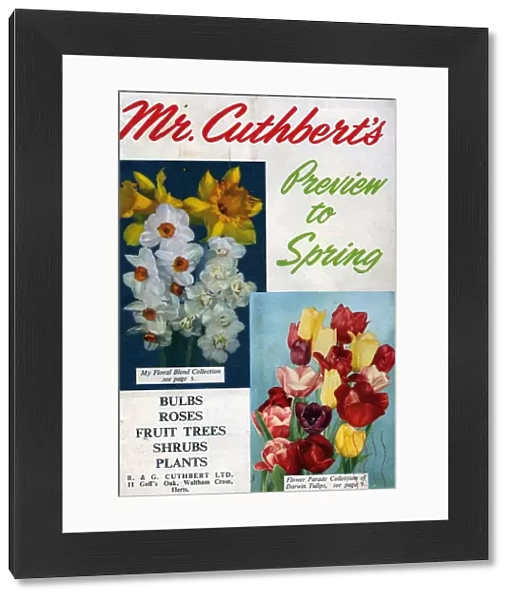 Cuthberts 1950s UK Mr Cuthberts flowers seeds packets gardens