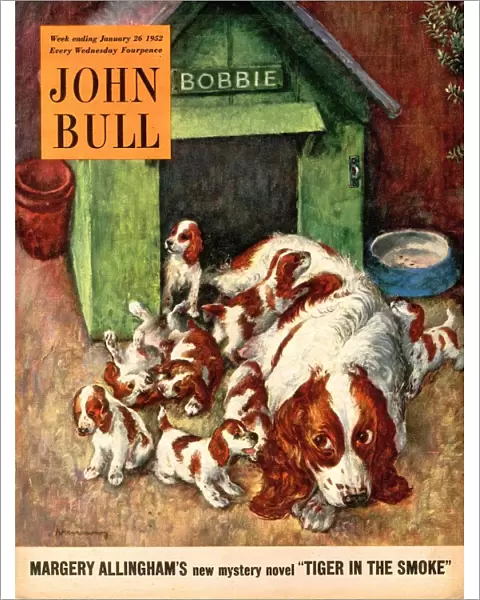 John Bull 1952 1950s UK dogs puppies pets magazines puppys