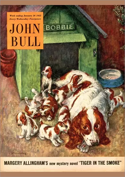 John Bull 1952 1950s UK dogs puppies pets magazines puppys
