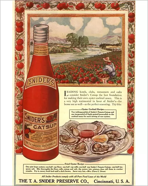 1900s USA tomato sauce catsup sniders oysters tomatoes