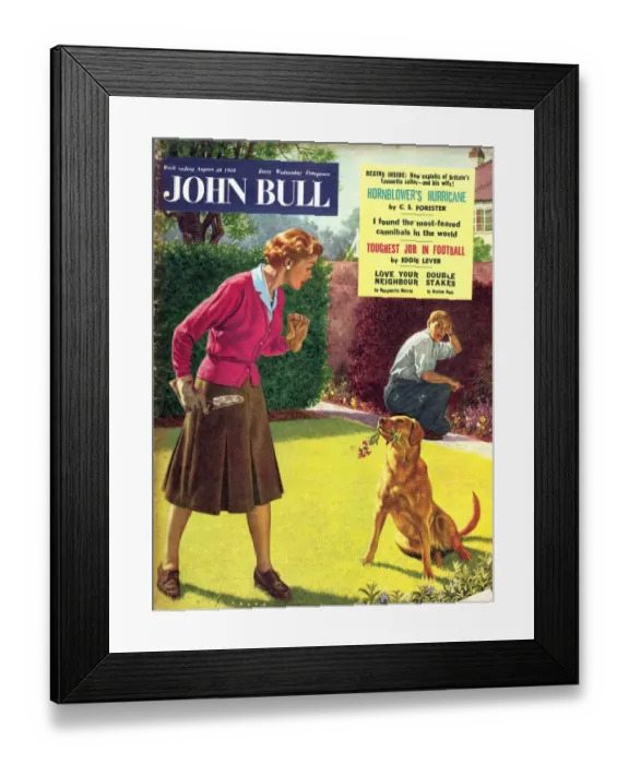 Framed Print : John Bull 1950s UK dogs disasters magazines pets horticulture Framed Print : John Bull 1950s UK dogs disasters magazines pets horticulture