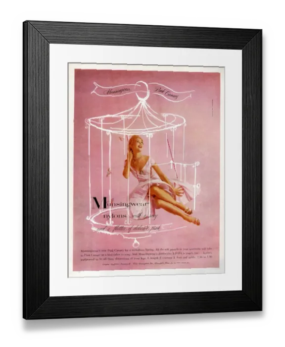 Framed Print : Munsingwear 1950s UK womens hosiery nylons stockings birds cages Framed Print : Munsingwear 1950s UK womens hosiery nylons stockings birds cages