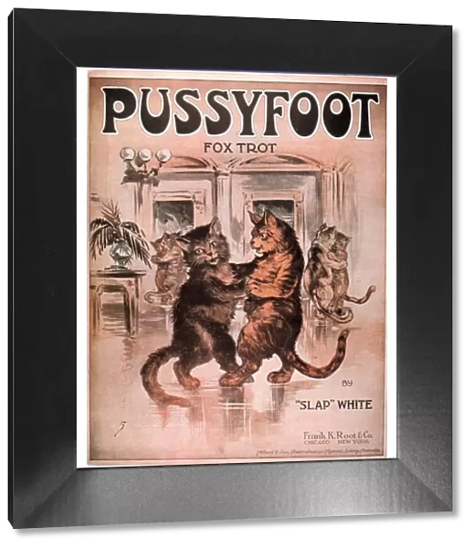 1920s USA cats pussyfoot fox trot