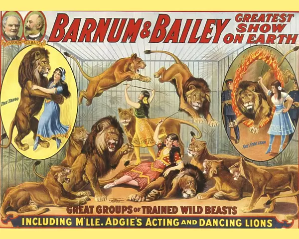 Barnum & Baileys 1915 1910s USA performers Dancing Lions Baileys lion tamers women