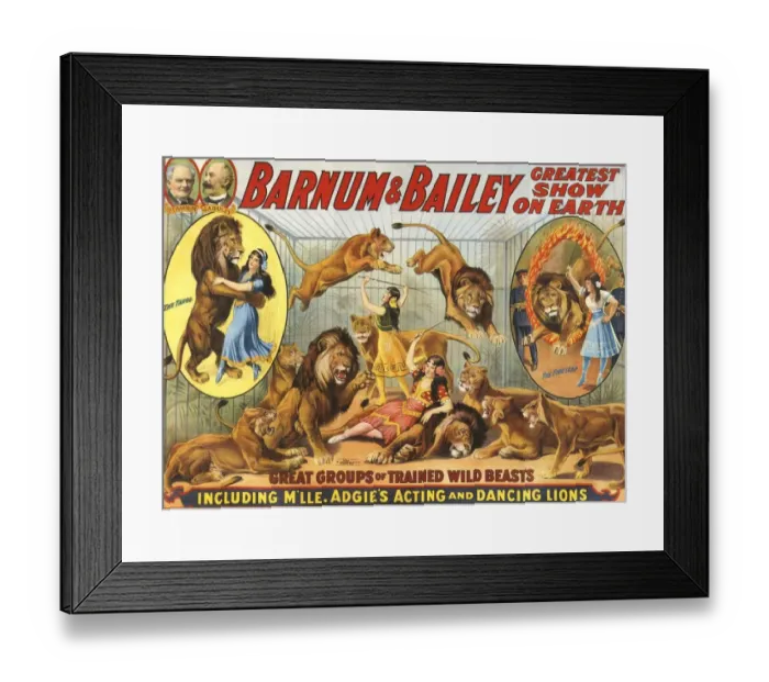 Framed Print : Barnum & Baileys 1915 1910s USA performers Dancing Lions Baileys lion tamers women Framed Print : Barnum & Baileys 1915 1910s USA performers Dancing Lions Baileys lion tamers women