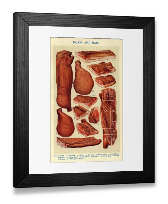 Framed Print : Bacon and Ham 1900s UK Isabella Beeton meat Mrs Beetons Book of Household Management Framed Print : Bacon and Ham 1900s UK Isabella Beeton meat Mrs Beetons Book of Household Management
