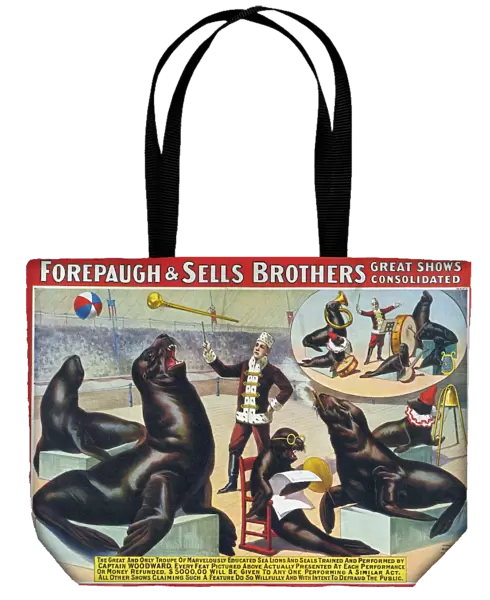 Forepaugh & Sella Brothers 1900s seals performing entertainers bros