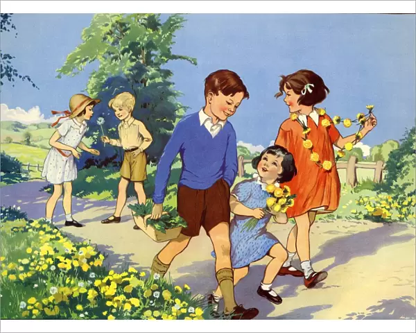 Infant School Illustrations 1950s UK picking flowers Enid Blyton