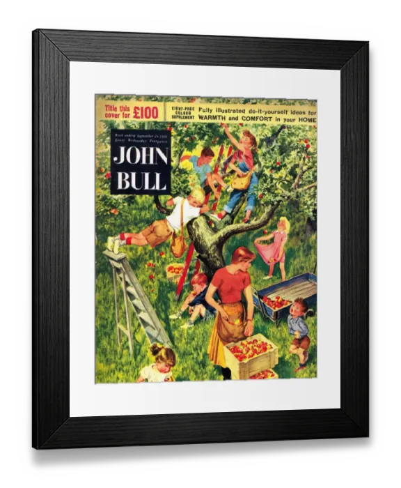 Framed Print : John Bull 1950s UK picking apples fruit magazines Framed Print : John Bull 1950s UK picking apples fruit magazines