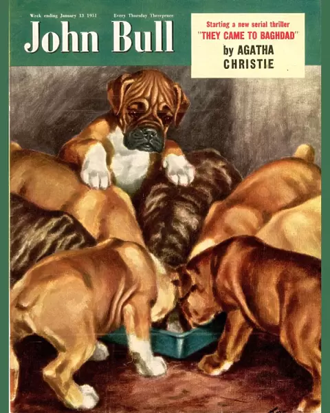 John Bull 1951 1950s UK dogs magazines