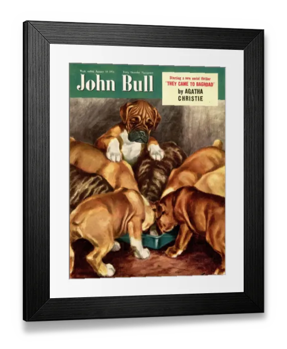 Framed Print : John Bull 1951 1950s UK dogs magazines Framed Print : John Bull 1951 1950s UK dogs magazines