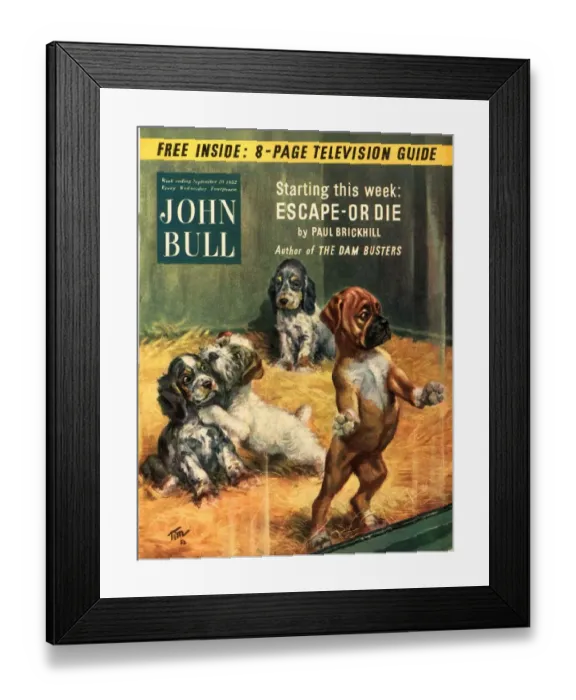 Framed Print : John Bull 1952 1950s UK dogs pet shops pets magazines