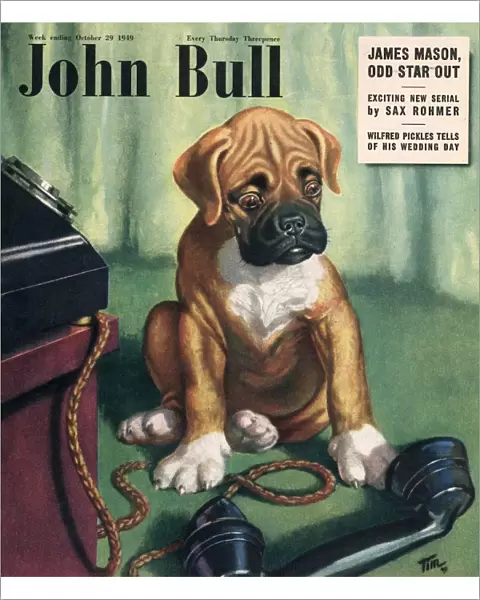 John Bull 1949 1940s UK dogs magazines