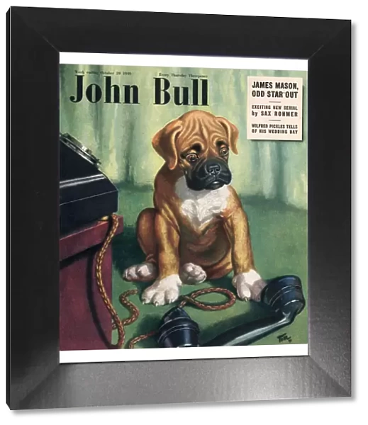 John Bull 1949 1940s UK dogs magazines