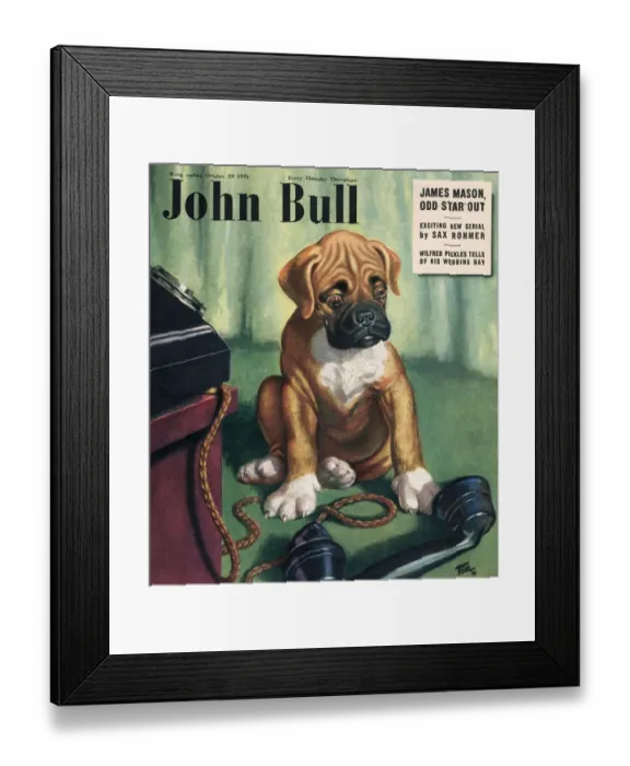 Framed Print : John Bull 1949 1940s UK dogs magazines Framed Print : John Bull 1949 1940s UK dogs magazines