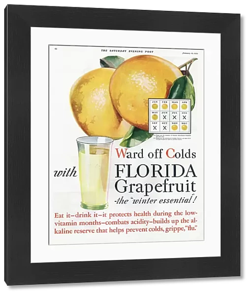 Florida Grapefruit 1920s USA colds flu fruit