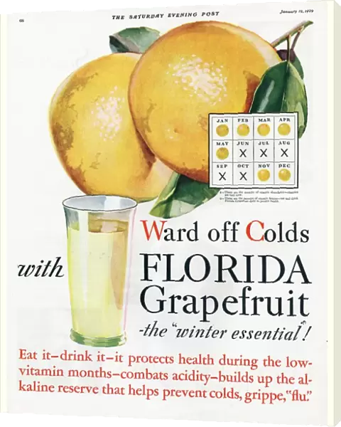 Florida Grapefruit 1920s USA colds flu fruit