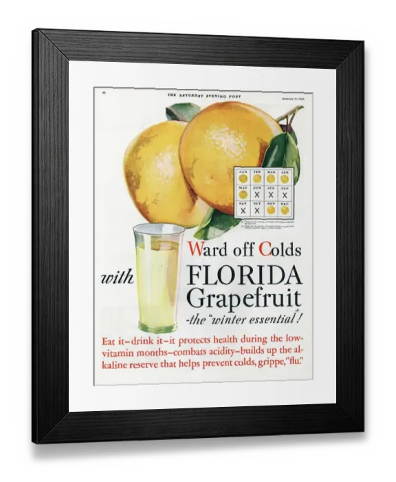 Framed Print : Florida Grapefruit 1920s USA colds flu fruit
