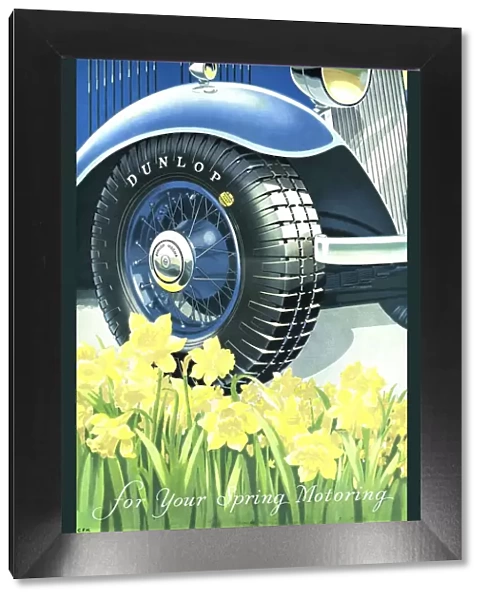 Dunlop 1934 1930s UK tyres daffodils
