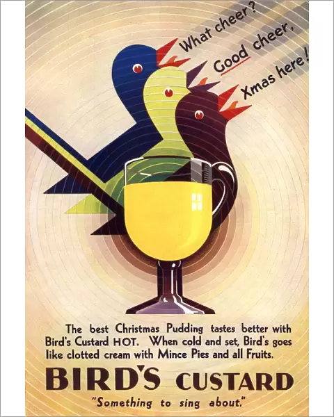 Birds Custard 1931 1930s UK